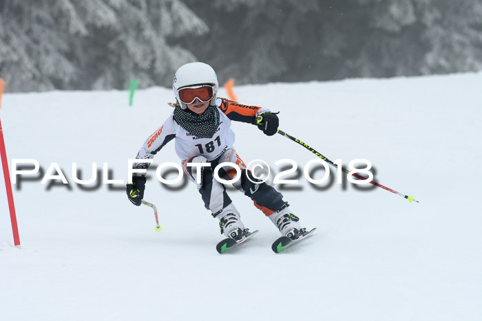 Werdenfelser Kinderskitag, Bambini +Kinder JG 2007, 18.03.2018
