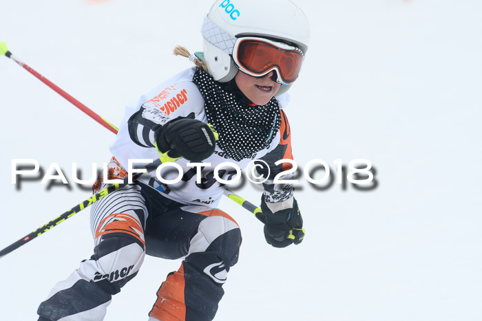 Werdenfelser Kinderskitag, Bambini +Kinder JG 2007, 18.03.2018