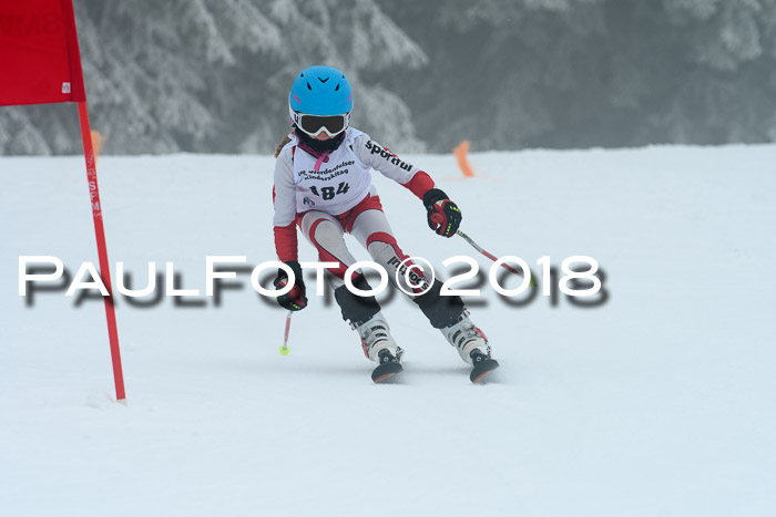 Werdenfelser Kinderskitag, Bambini +Kinder JG 2007, 18.03.2018