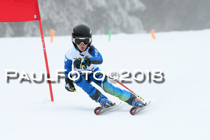 Werdenfelser Kinderskitag, Bambini +Kinder JG 2007, 18.03.2018