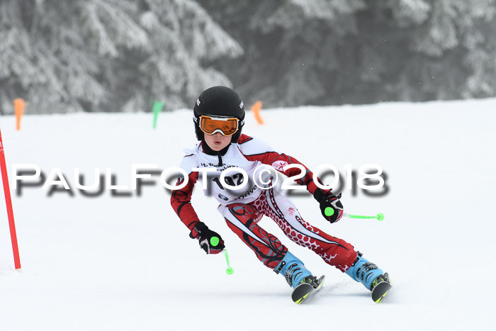 Werdenfelser Kinderskitag, Bambini +Kinder JG 2007, 18.03.2018