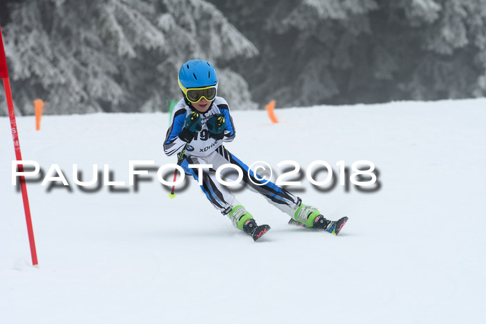 Werdenfelser Kinderskitag, Bambini +Kinder JG 2007, 18.03.2018