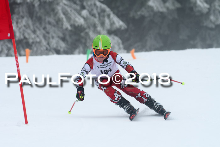 Werdenfelser Kinderskitag, Bambini +Kinder JG 2007, 18.03.2018
