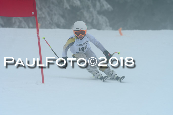 Werdenfelser Kinderskitag, Bambini +Kinder JG 2007, 18.03.2018