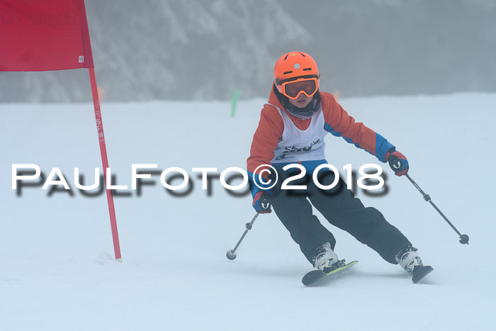 Werdenfelser Kinderskitag, Bambini +Kinder JG 2007, 18.03.2018