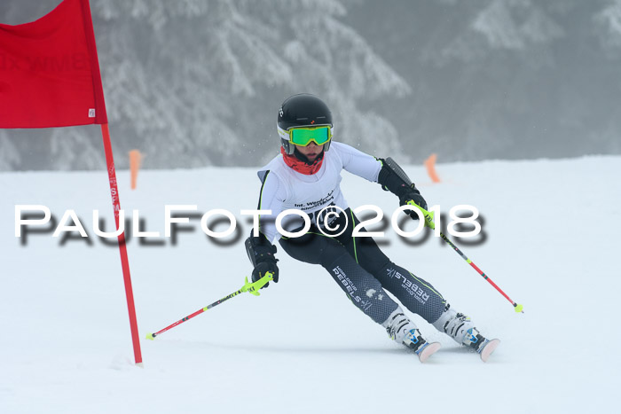 Werdenfelser Kinderskitag, Bambini +Kinder JG 2007, 18.03.2018