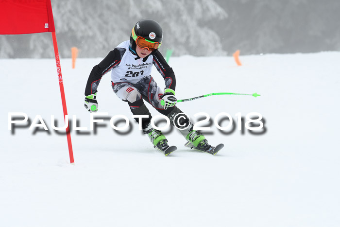 Werdenfelser Kinderskitag, Bambini +Kinder JG 2007, 18.03.2018