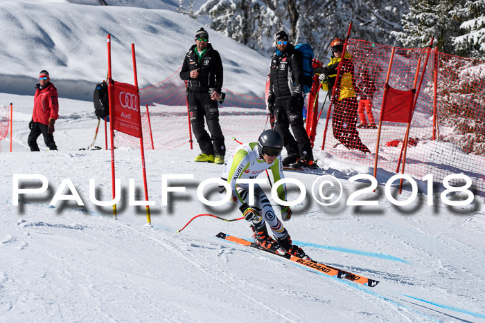 FIS, Int. Dt. Meisterschaft Abfahrt, Training, NC, NJC Damen + Herren, 22.03.2018