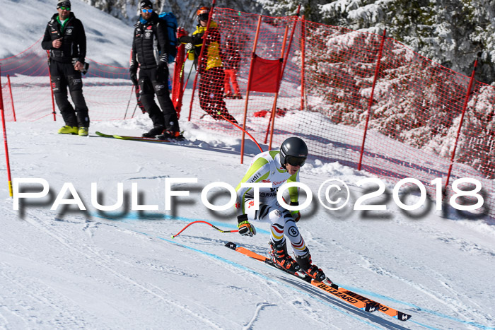 FIS, Int. Dt. Meisterschaft Abfahrt, Training, NC, NJC Damen + Herren, 22.03.2018