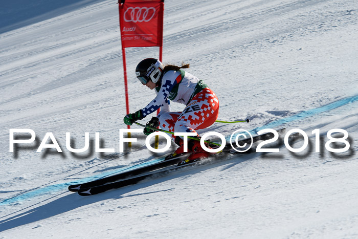 FIS, Int. Dt. Meisterschaft Abfahrt, Training, NC, NJC Damen + Herren, 22.03.2018