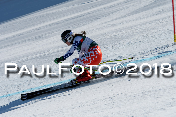 FIS, Int. Dt. Meisterschaft Abfahrt, Training, NC, NJC Damen + Herren, 22.03.2018