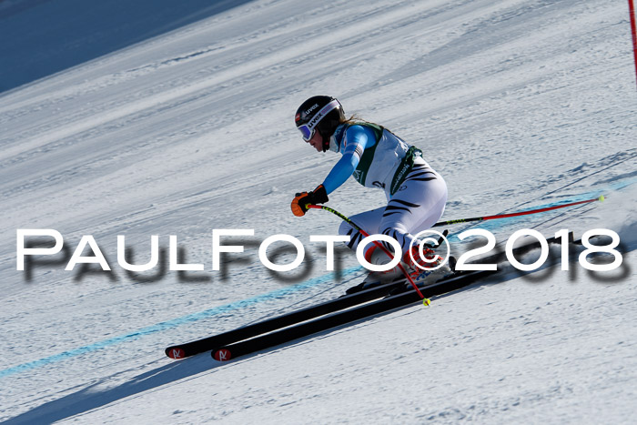 FIS, Int. Dt. Meisterschaft Abfahrt, Training, NC, NJC Damen + Herren, 22.03.2018