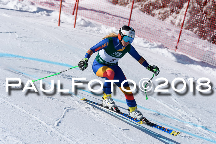 FIS, Int. Dt. Meisterschaft Abfahrt, Training, NC, NJC Damen + Herren, 22.03.2018