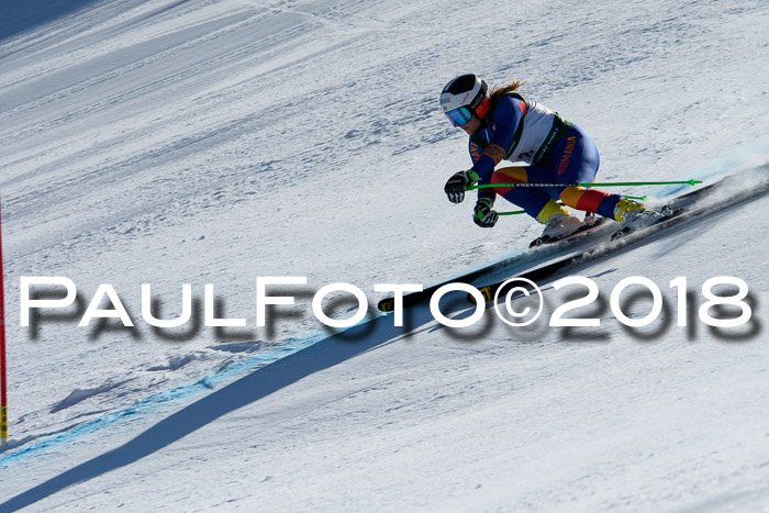 FIS, Int. Dt. Meisterschaft Abfahrt, Training, NC, NJC Damen + Herren, 22.03.2018