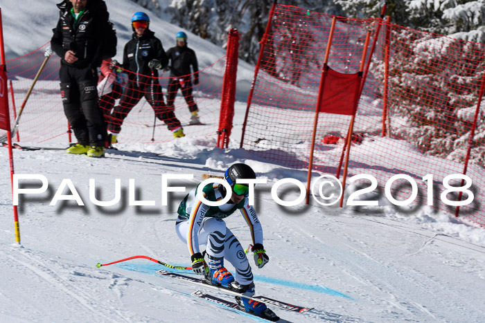 FIS, Int. Dt. Meisterschaft Abfahrt, Training, NC, NJC Damen + Herren, 22.03.2018