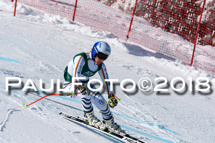 FIS, Int. Dt. Meisterschaft Abfahrt, Training, NC, NJC Damen + Herren, 22.03.2018