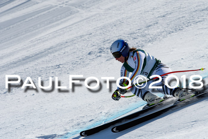 FIS, Int. Dt. Meisterschaft Abfahrt, Training, NC, NJC Damen + Herren, 22.03.2018