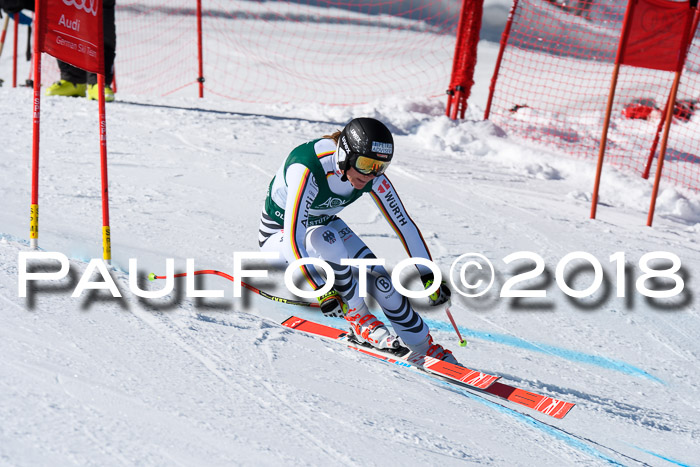 FIS, Int. Dt. Meisterschaft Abfahrt, Training, NC, NJC Damen + Herren, 22.03.2018