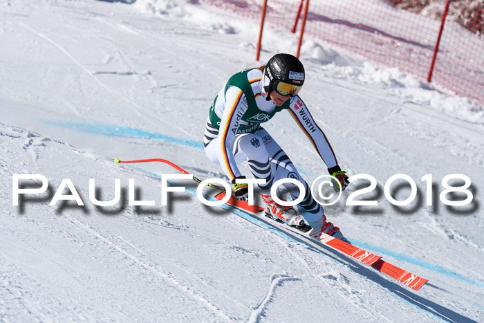 FIS, Int. Dt. Meisterschaft Abfahrt, Training, NC, NJC Damen + Herren, 22.03.2018