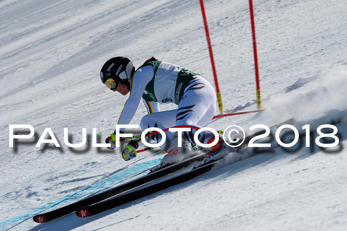 FIS, Int. Dt. Meisterschaft Abfahrt, Training, NC, NJC Damen + Herren, 22.03.2018
