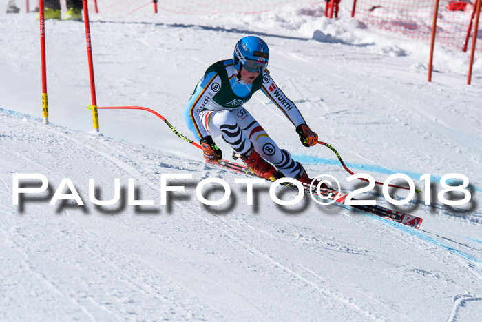 FIS, Int. Dt. Meisterschaft Abfahrt, Training, NC, NJC Damen + Herren, 22.03.2018