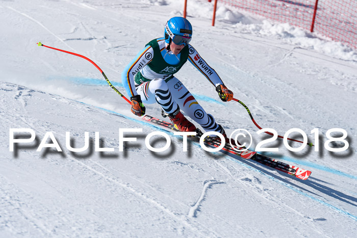 FIS, Int. Dt. Meisterschaft Abfahrt, Training, NC, NJC Damen + Herren, 22.03.2018