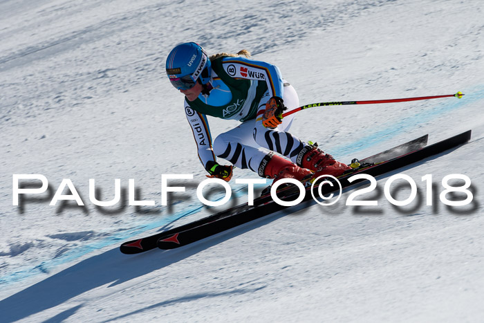 FIS, Int. Dt. Meisterschaft Abfahrt, Training, NC, NJC Damen + Herren, 22.03.2018