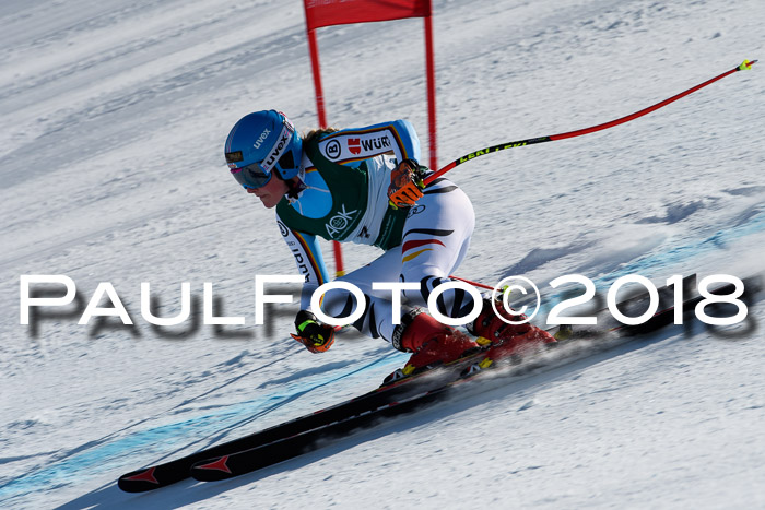 FIS, Int. Dt. Meisterschaft Abfahrt, Training, NC, NJC Damen + Herren, 22.03.2018