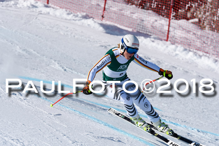 FIS, Int. Dt. Meisterschaft Abfahrt, Training, NC, NJC Damen + Herren, 22.03.2018