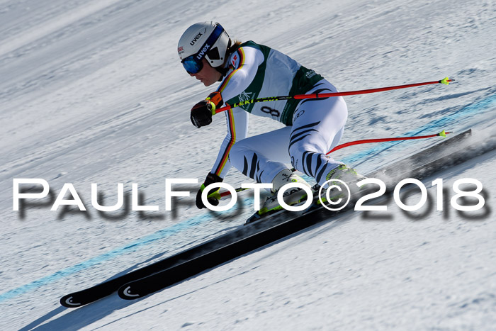FIS, Int. Dt. Meisterschaft Abfahrt, Training, NC, NJC Damen + Herren, 22.03.2018