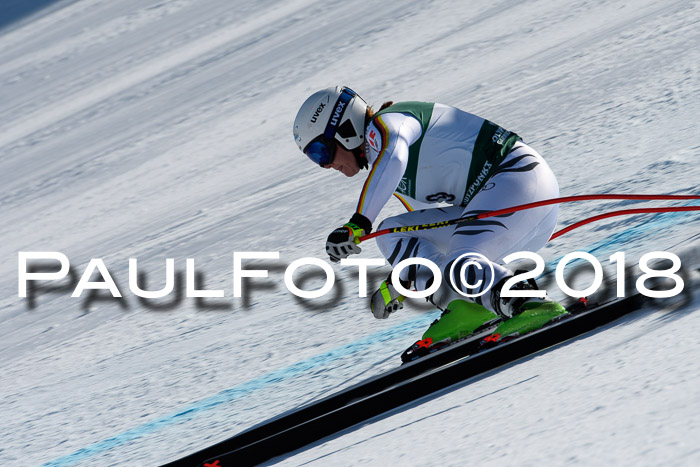 FIS, Int. Dt. Meisterschaft Abfahrt, Training, NC, NJC Damen + Herren, 22.03.2018