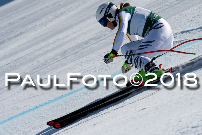 FIS, Int. Dt. Meisterschaft Abfahrt, Training, NC, NJC Damen + Herren, 22.03.2018