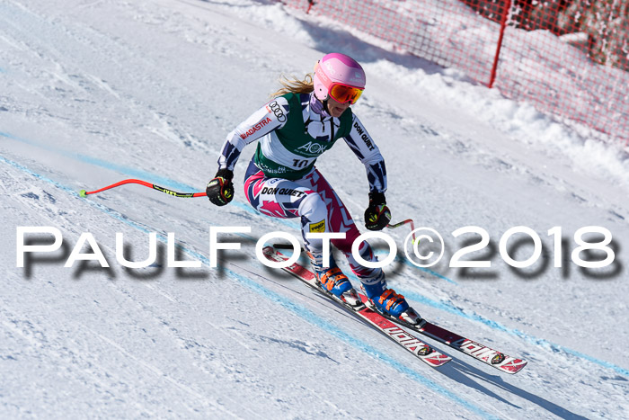FIS, Int. Dt. Meisterschaft Abfahrt, Training, NC, NJC Damen + Herren, 22.03.2018