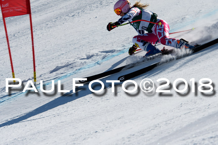 FIS, Int. Dt. Meisterschaft Abfahrt, Training, NC, NJC Damen + Herren, 22.03.2018
