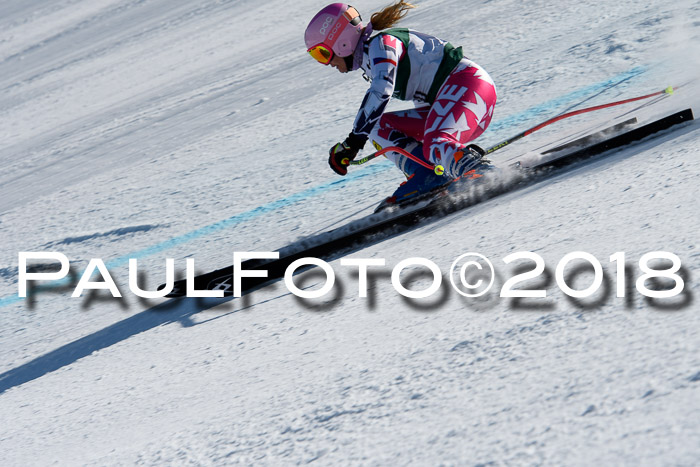 FIS, Int. Dt. Meisterschaft Abfahrt, Training, NC, NJC Damen + Herren, 22.03.2018