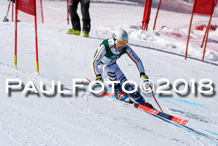 FIS, Int. Dt. Meisterschaft Abfahrt, Training, NC, NJC Damen + Herren, 22.03.2018