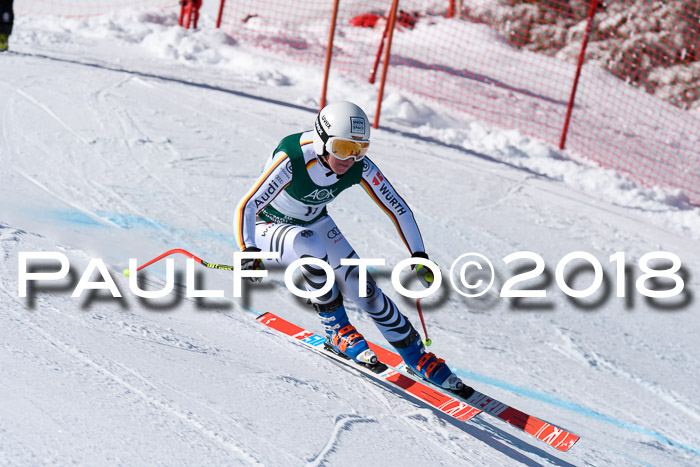 FIS, Int. Dt. Meisterschaft Abfahrt, Training, NC, NJC Damen + Herren, 22.03.2018