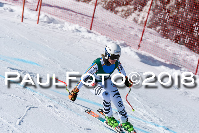 FIS, Int. Dt. Meisterschaft Abfahrt, Training, NC, NJC Damen + Herren, 22.03.2018
