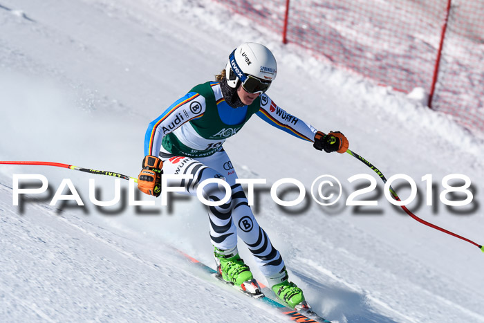 FIS, Int. Dt. Meisterschaft Abfahrt, Training, NC, NJC Damen + Herren, 22.03.2018