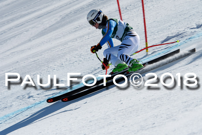FIS, Int. Dt. Meisterschaft Abfahrt, Training, NC, NJC Damen + Herren, 22.03.2018