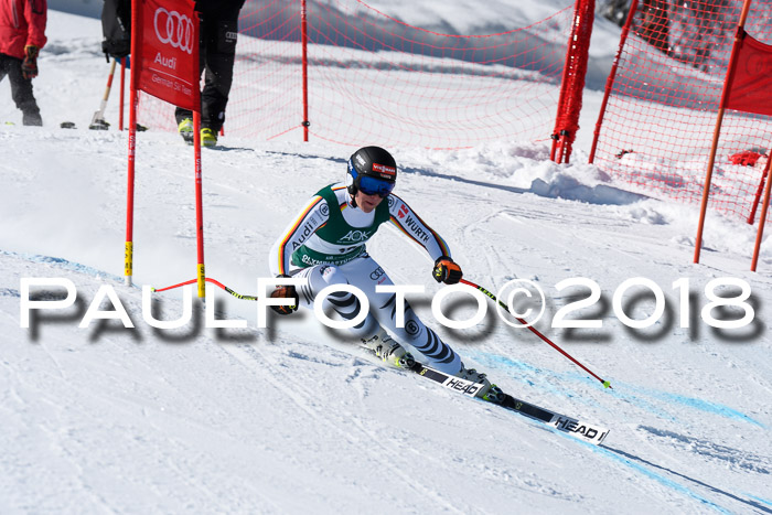 FIS, Int. Dt. Meisterschaft Abfahrt, Training, NC, NJC Damen + Herren, 22.03.2018