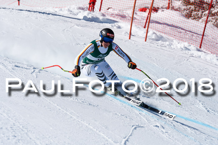 FIS, Int. Dt. Meisterschaft Abfahrt, Training, NC, NJC Damen + Herren, 22.03.2018