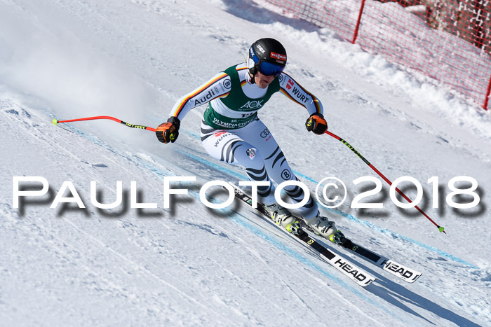 FIS, Int. Dt. Meisterschaft Abfahrt, Training, NC, NJC Damen + Herren, 22.03.2018