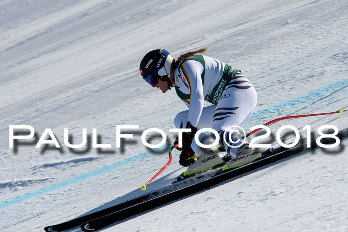FIS, Int. Dt. Meisterschaft Abfahrt, Training, NC, NJC Damen + Herren, 22.03.2018