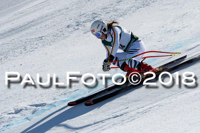 FIS, Int. Dt. Meisterschaft Abfahrt, Training, NC, NJC Damen + Herren, 22.03.2018