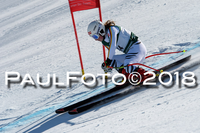 FIS, Int. Dt. Meisterschaft Abfahrt, Training, NC, NJC Damen + Herren, 22.03.2018