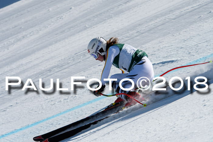 FIS, Int. Dt. Meisterschaft Abfahrt, Training, NC, NJC Damen + Herren, 22.03.2018