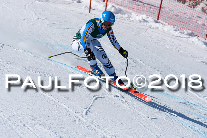 FIS, Int. Dt. Meisterschaft Abfahrt, Training, NC, NJC Damen + Herren, 22.03.2018