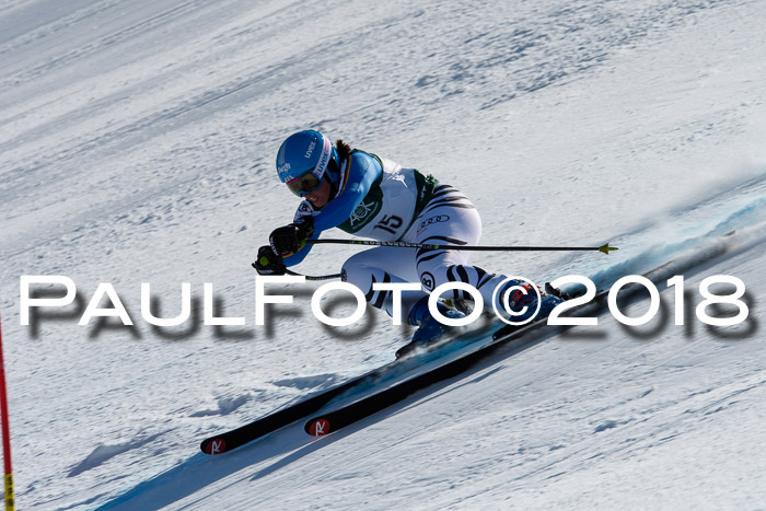 FIS, Int. Dt. Meisterschaft Abfahrt, Training, NC, NJC Damen + Herren, 22.03.2018