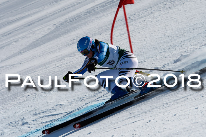 FIS, Int. Dt. Meisterschaft Abfahrt, Training, NC, NJC Damen + Herren, 22.03.2018